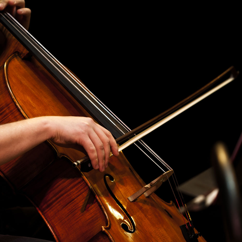 Cellist close up