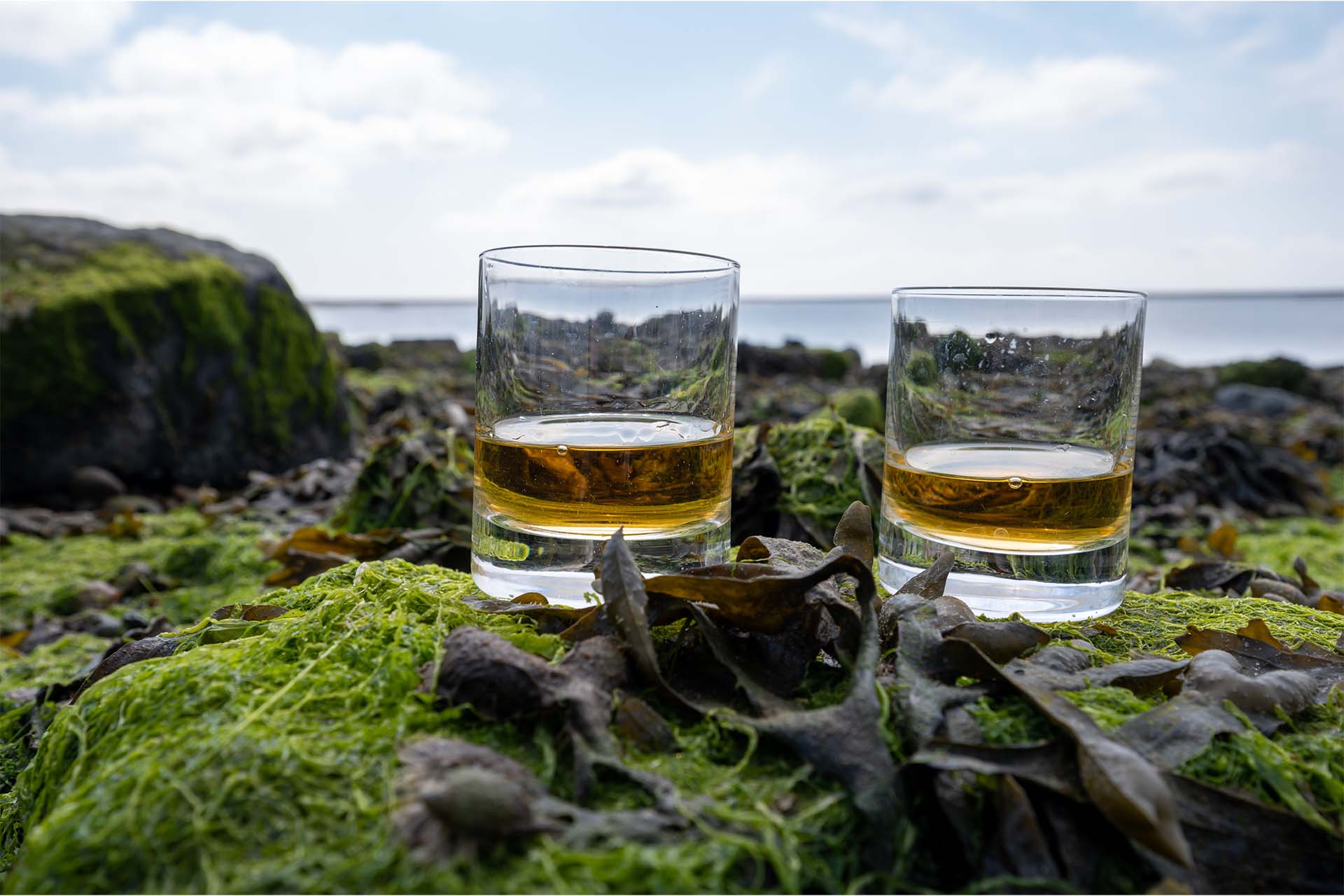whisky tour schottland islay