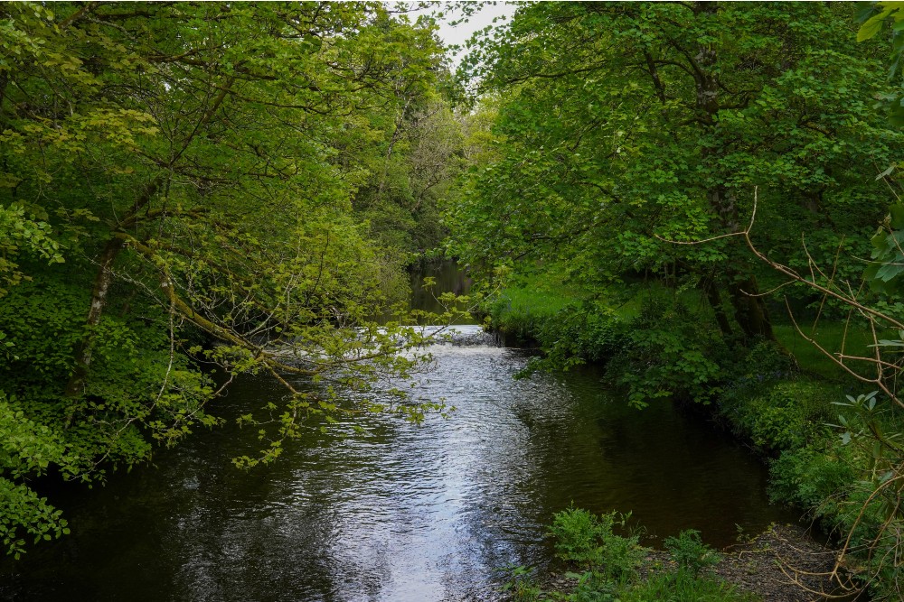 Bridgend Woods and the river Sorn on the Isle of Islay