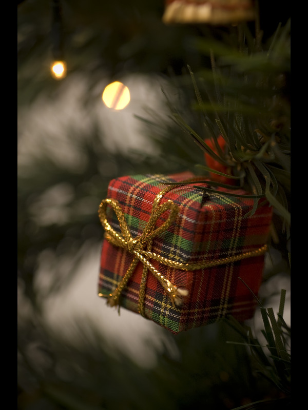 Christmas tartan wrapped parcel hanging on the christmas dress