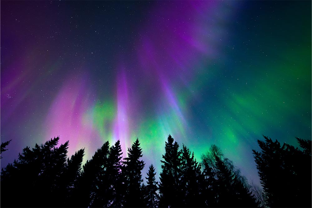 Northern lights over a forest.